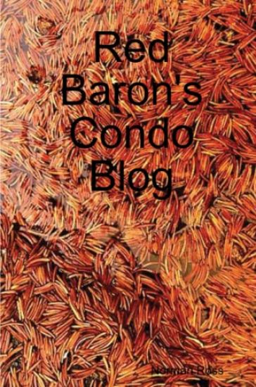 Red Baron's Condo Blog