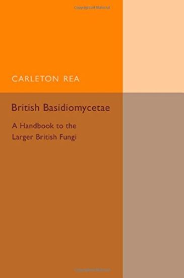 British Basidiomycetae