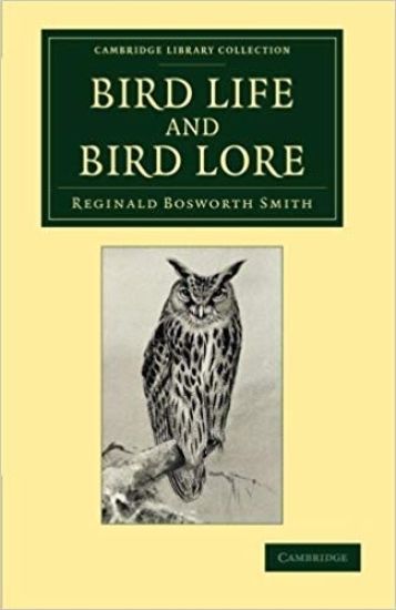 Bird Life and Bird Lore