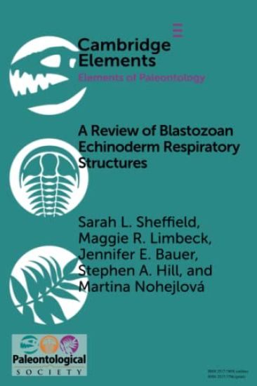A Review of Blastozoan Echinoderm Respiratory Structures