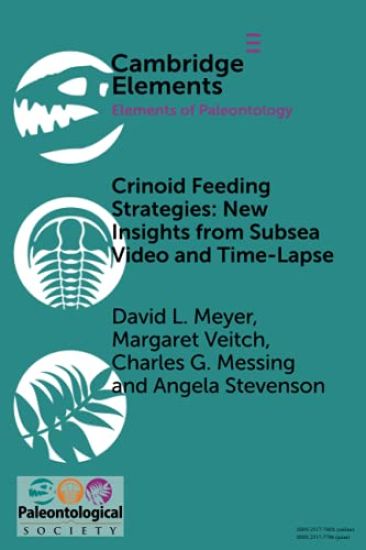 Crinoid Feeding Strategies: New Insights From Subsea Video And Time-Lapse