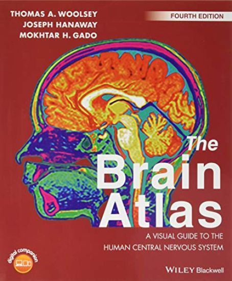 The Brain Atlas