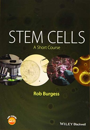 Stem Cells