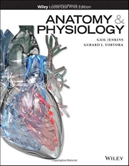 Anatomy and Physiology