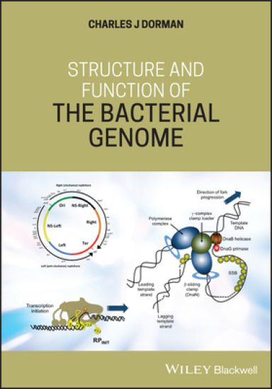 Structure and Function of the Bacterial Genome