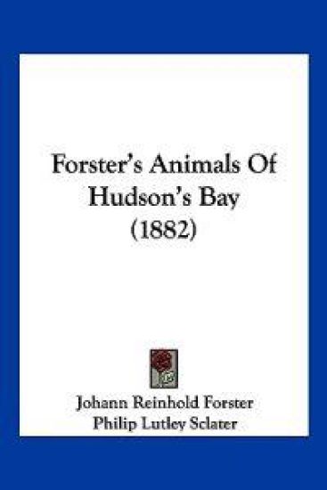 Forster's Animals Of Hudson's Bay (1882)