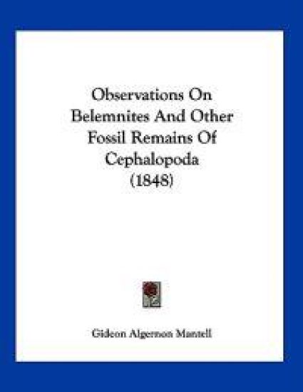 Observations On Belemnites And Other Fossil Remains Of Cephalopoda (1848)