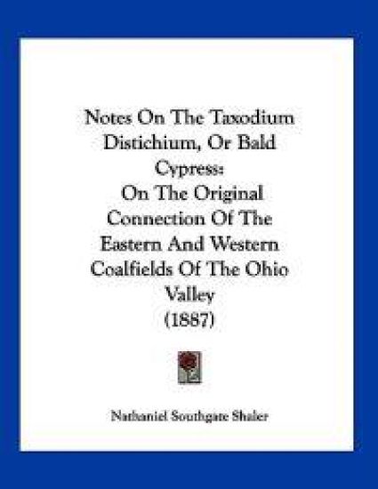 Notes On The Taxodium Distichium, Or Bald Cypress