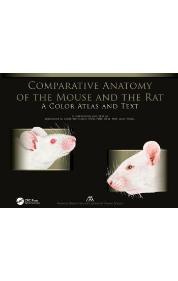 Comparative Anatomy of the Mouse and the Rat