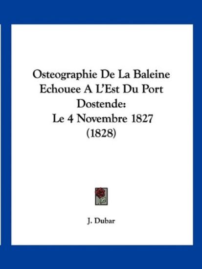 Osteographie De La Baleine Echouee A L'Est Du Port Dostende