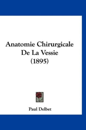 Anatomie Chirurgicale De La Vessie (1895)
