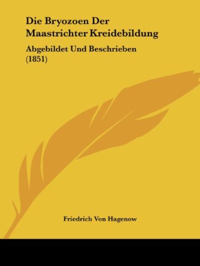Hagenow, F: Bryozoen Der Maastrichter Kreidebildung