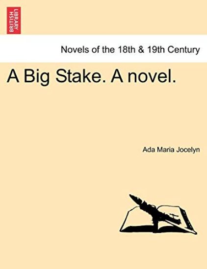 A Big Stake. a Novel.