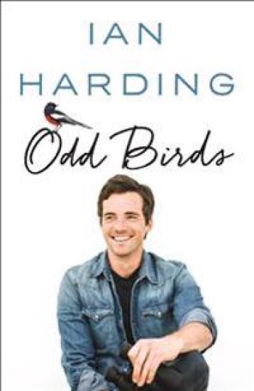 Odd Birds