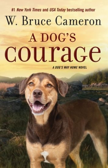 A DOGS COURAGE