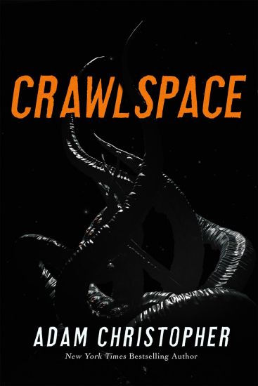 Crawlspace