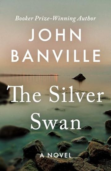The Silver Swan