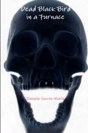 Dead Black Bird in a Furnace