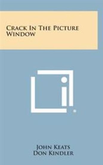 Crack in the Picture Window