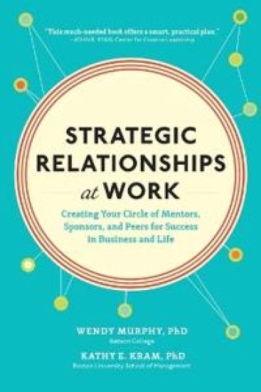 Strategic Relationships at Work (PB)