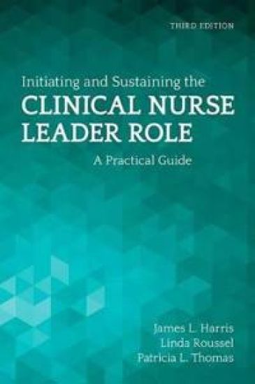 Initiating And Sustaining The Clinical Nurse Leader Role