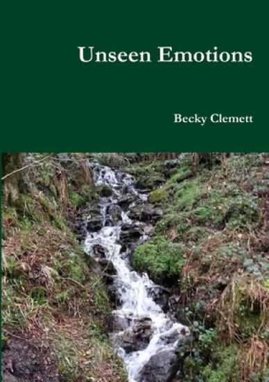 Unseen Emotions