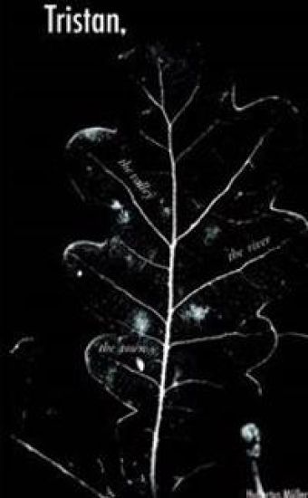 Tristan,