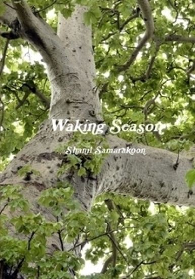 Waking Season