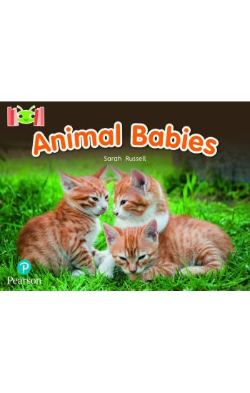 Bug Club Reading Corner: Age 4-7: Animal Babies