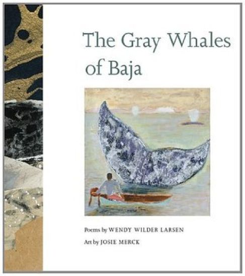 The Gray Whales of Baja