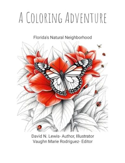 A Coloring Adventure