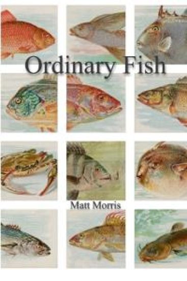 Ordinary Fish/Watt Worris
