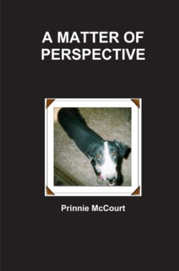 A Matter of Perspective