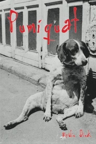 Pumiquat