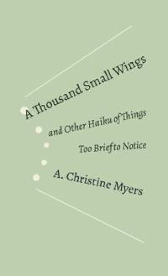 A Thousand Small Wings