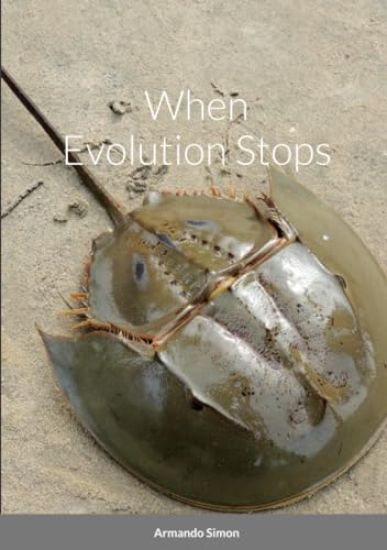 When Evolution Stops