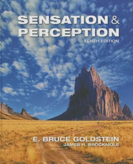 Sensation and Perception