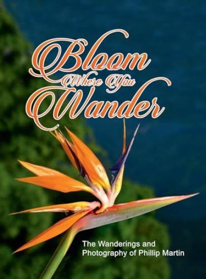 Bloom Where You Wander (Expanded, matte cover)