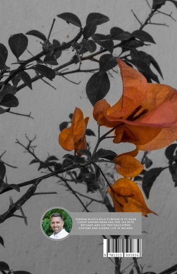 Jesus in the Real World (A Devotional on James)