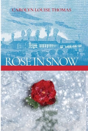 Rose in Snow