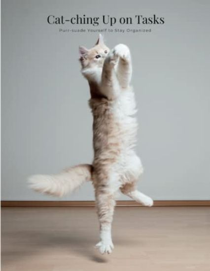 Cat-ching Up on Tasks