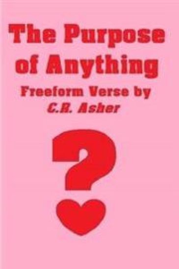 The Purpose of Anything
