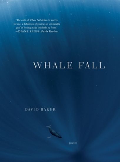 Whale Fall