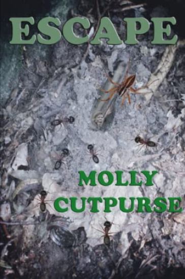 Escape