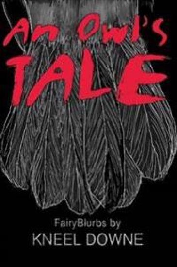 An Owl's Tale