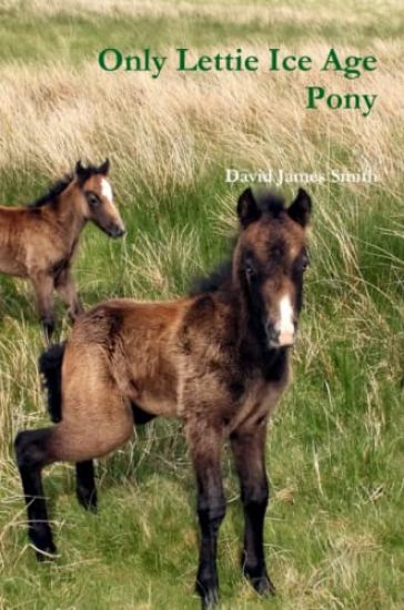 Only Lettie Ice Age Pony