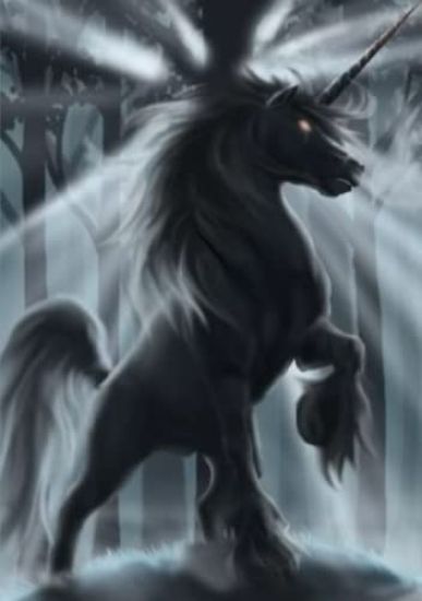 Megan Button and the Dragon Keeper Large Print Edition