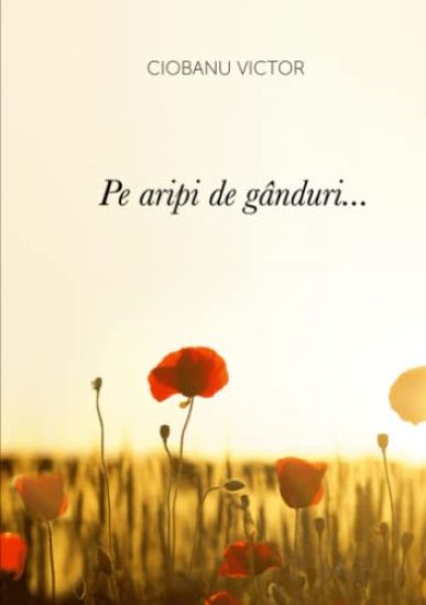 Pe aripi de gânduri...