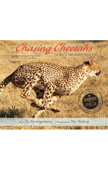 Chasing Cheetahs