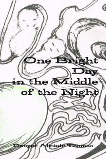 One Bright Day in the Middle of the Night